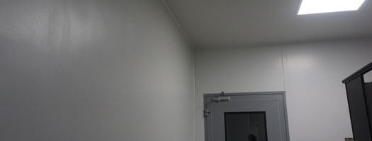 Polyurethane Wall Coating